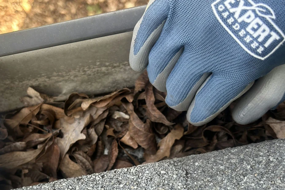 Gutter Cleaning Breaux Bridge