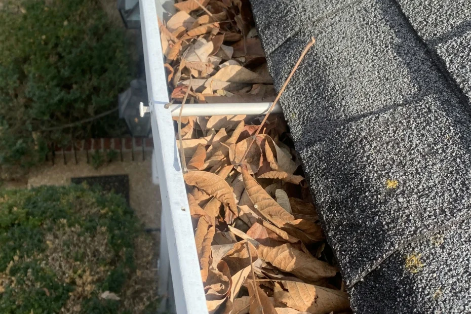 Gutter Cleaning Breaux Bridge